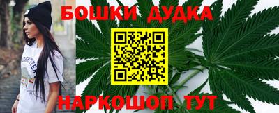 индика Кинель