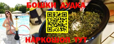 индика Кинель