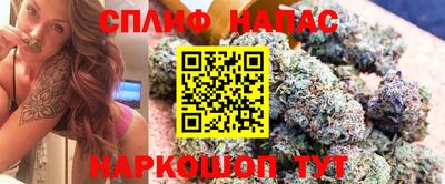 индика Кинель